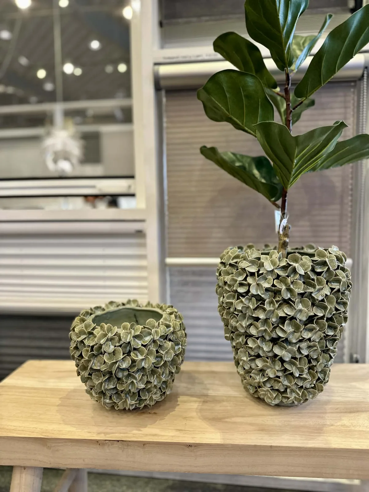 Krukker og grønne planter på træbord i showroomet